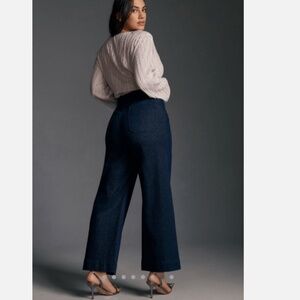 NWOT Maeve for Anthropology Wide Leg Sparkle Pant "the colette" - Womens 29P